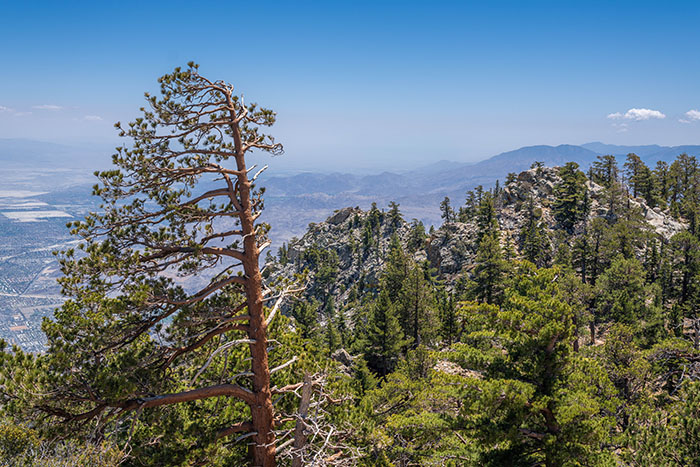 View from Long Valley at Mount San Jacinto State Park. Photo from California State Parks.